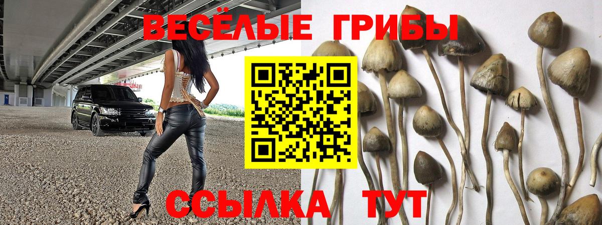Псилоцибиновые грибы мухоморы  Вход с VPN  Луга 