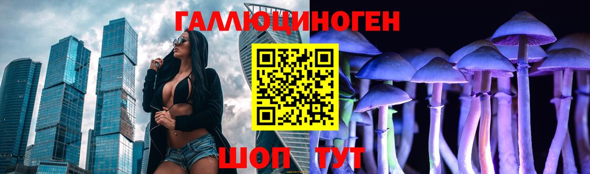 Псилоцибиновые грибы GOLDEN TEACHER Луга